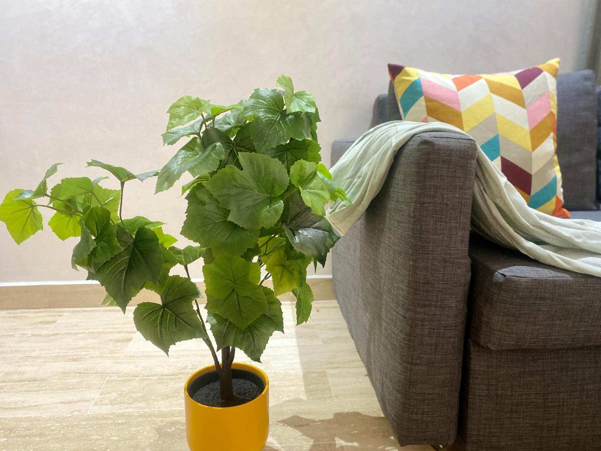 Superbe Appartement Tres Bien Situe Welcome Stay Casablanca Kültér fotó